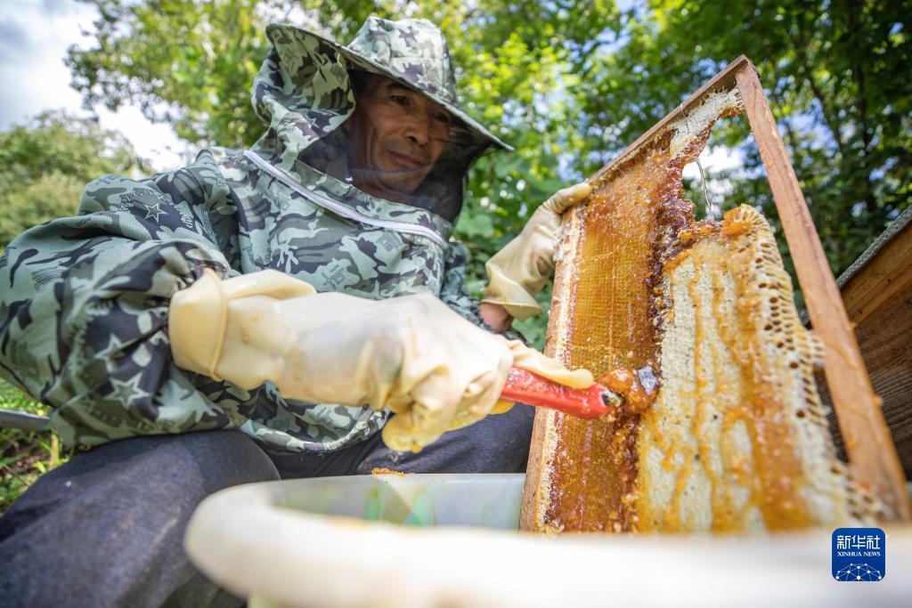 李逵捕鱼游戏大厅
